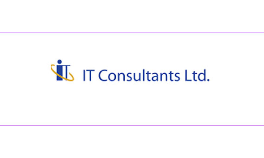 IT Consultants