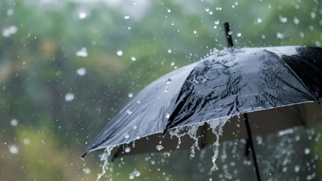 rainfall Shower