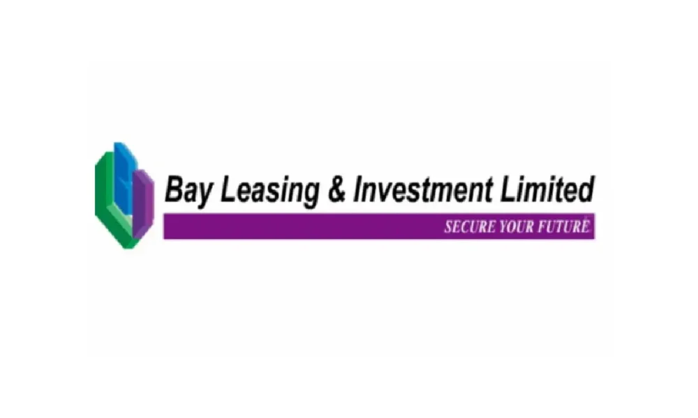 Bay Leasing & Investment