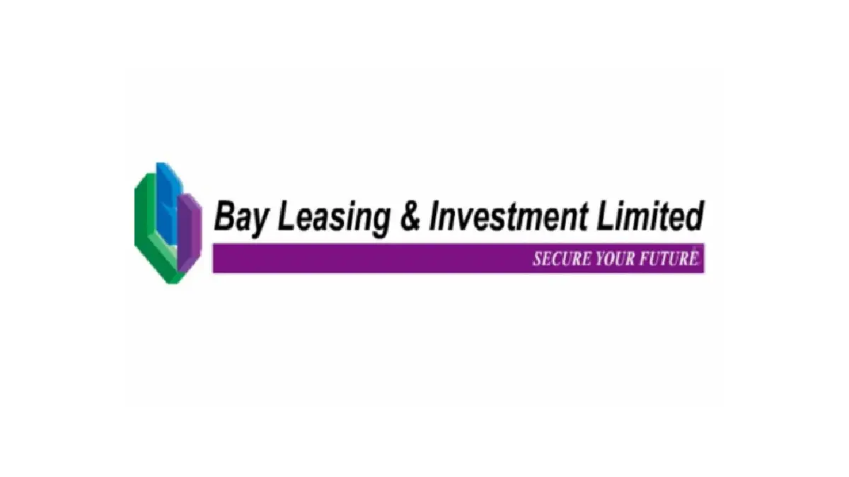 Bay Leasing & Investment