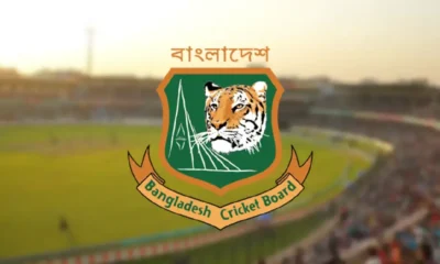 tigers bangladesh