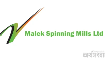 Malek Spinning