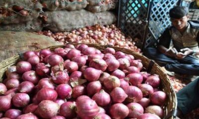 onion price bangladesh india