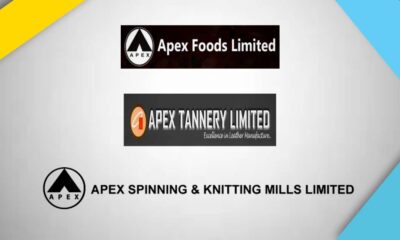 apex tannery foods spinning mills
