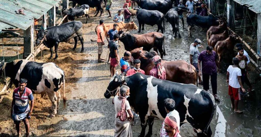 Eid-ul-Adha